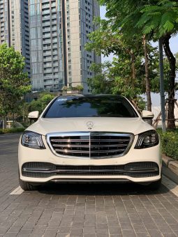 Mercedes S450 Luxury 2019 full
