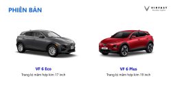 VinFast VF6