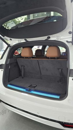 VinFast VF9 full